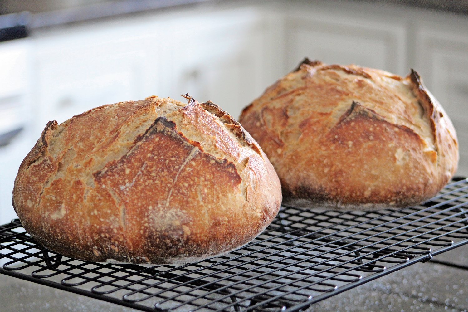 Two sourdough loaves made from Kobler’s sourdough starter. Kobler has also sold focaccia, Irish soda bread and more.