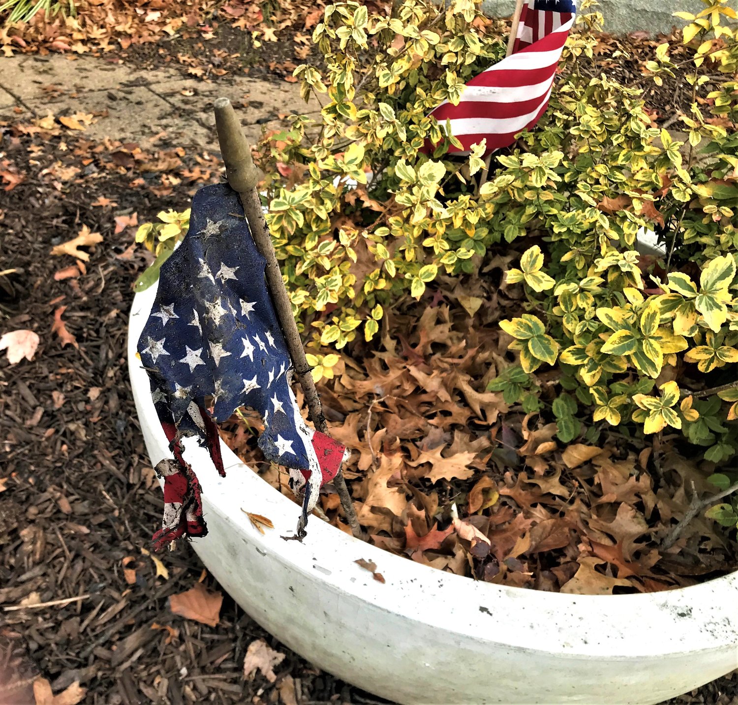 Sanitary District No. 2  Commissioner Jerry Brown said there was light scorch damage to part of the war memorial at Silver Lake County Park, and a small American flag was burned in front of the main war monument honoring World War II veterans.