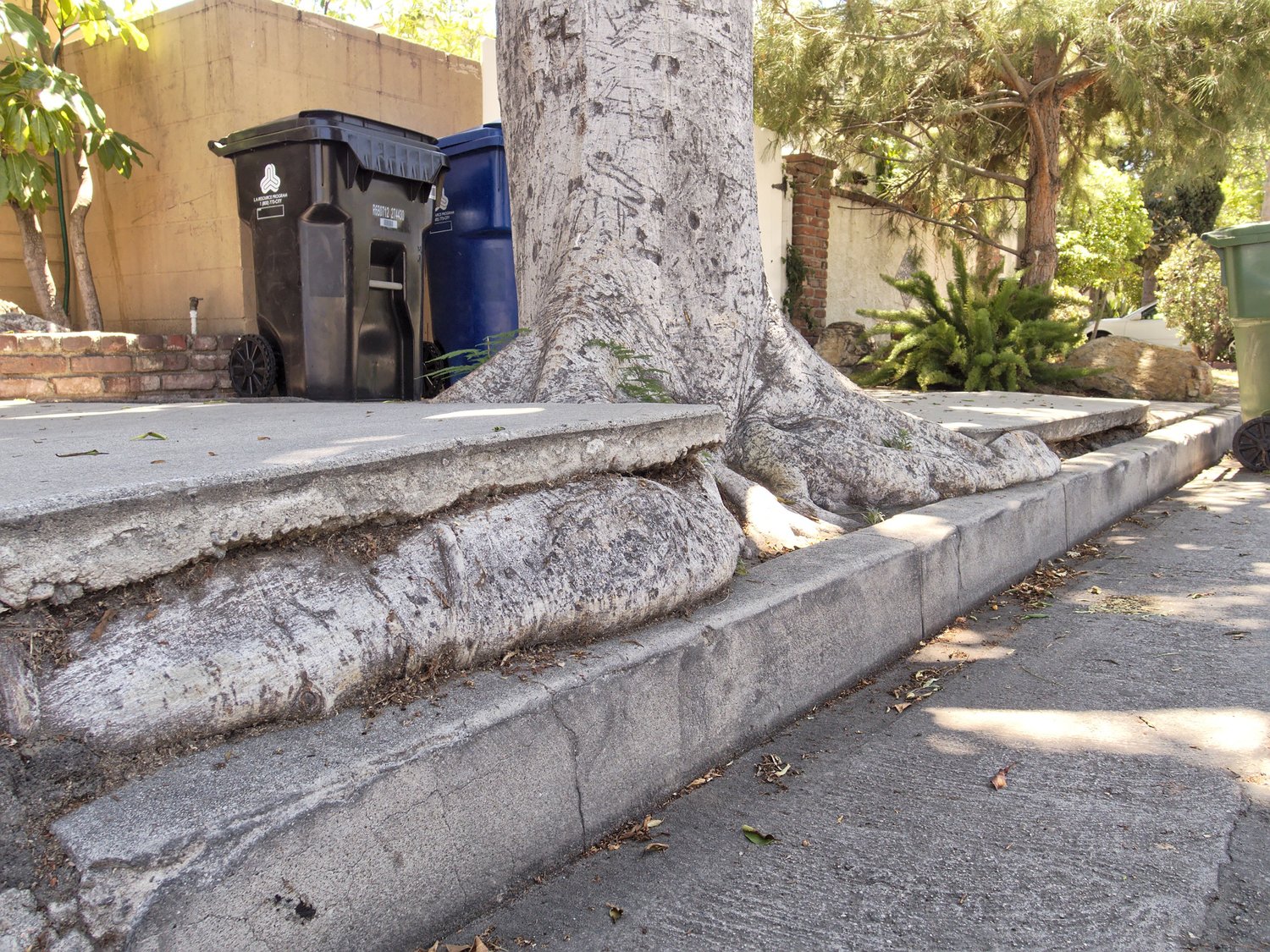The Village of Sea Cliff is considering amending a law dating back decades that divides the financial burden of sidewalk and other “right of way” repairs between homeowners and the village. The amendment would shift the burden completely to residents.
