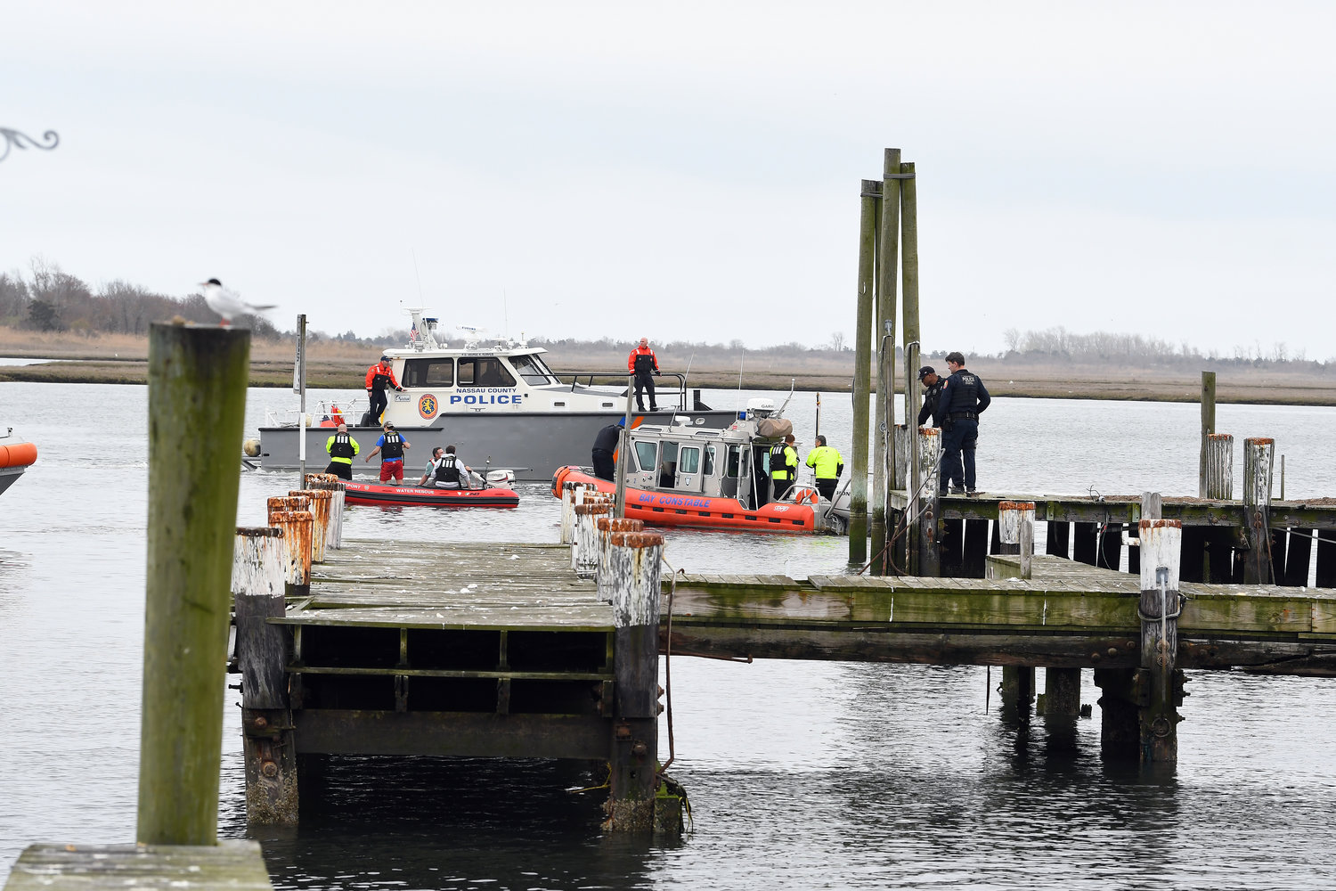 Multiple agencies responded to the call to rescue a driver whose car carried him into the water at the east shore of Cow Meadow Park.