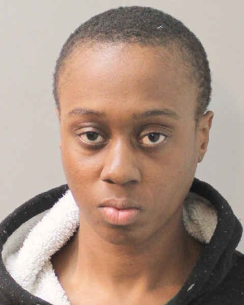 Nassau County Police arrested a Queens woman for her alleged involvement in a string of criminal incidents.