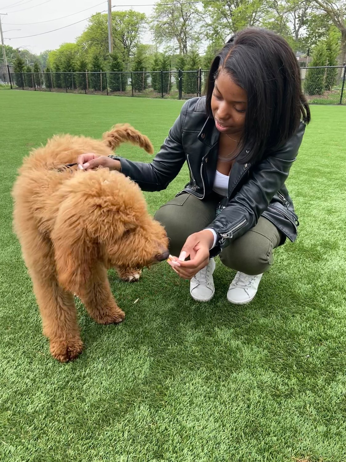Vanessa Celissaint brought her dog Niko all the way from Queens to experience Eisenhower Park’s dog park.