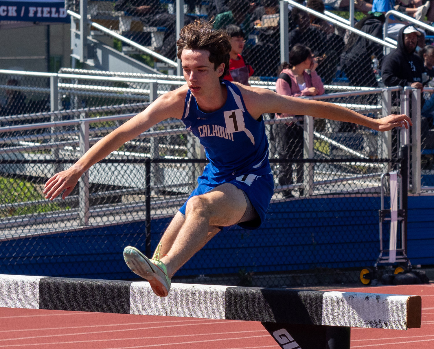 Calhoun sophomore Logan Schaeffler won the Nassau Class AA title and placed fourth in the state in the 3000m steeplechase.