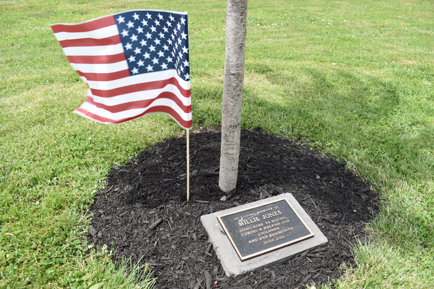Four new trees were added by East Meadow Kiwanis in honor of those who died.