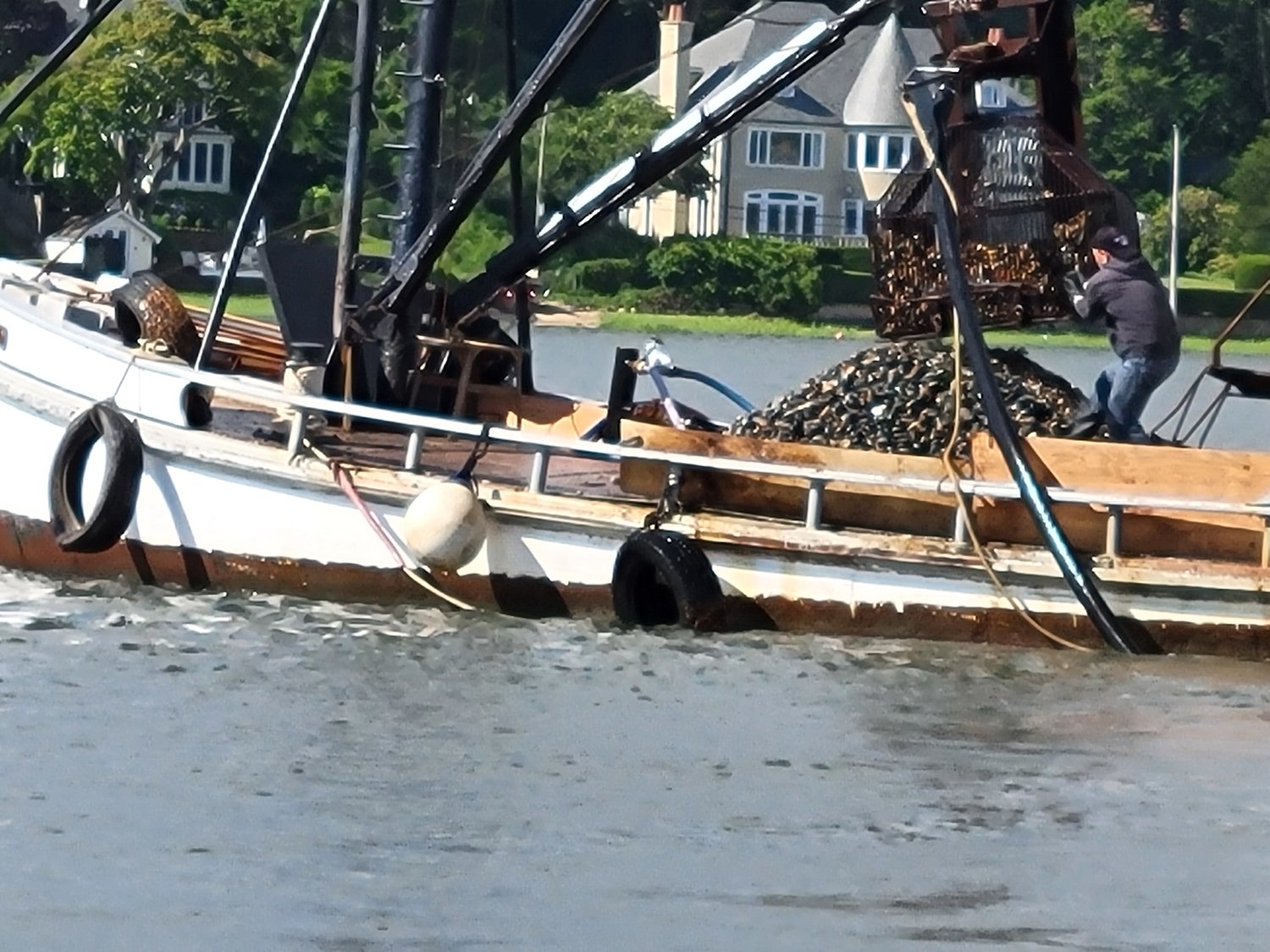 Frank M. Flower & Sons is hydraulically dredging Mill Neck Creek for clams, which the Town of Oyster Bay has been trying to stop the company from doing, because officials fear that it will destroy an important area for spawning.