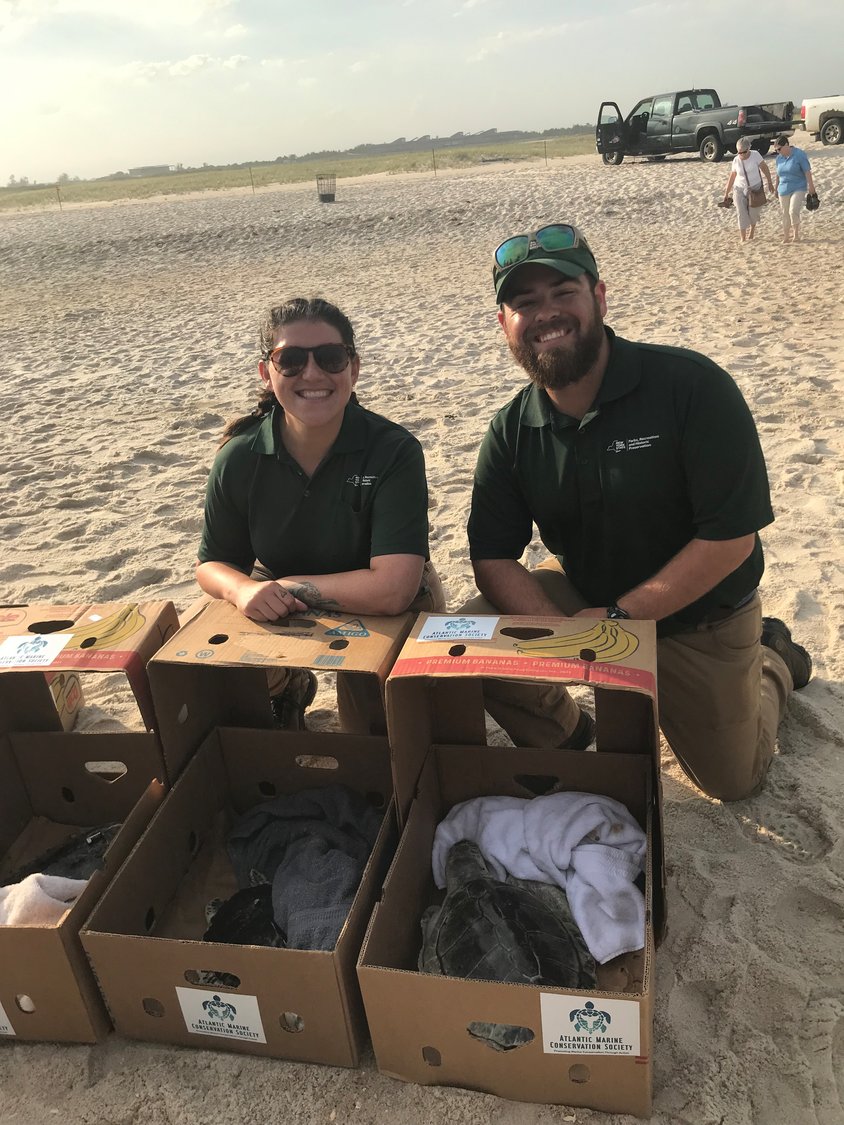 Energy and Nature Center workers Marissa DeBonis and Hayden Urysk ready to release the rescued turtles.
