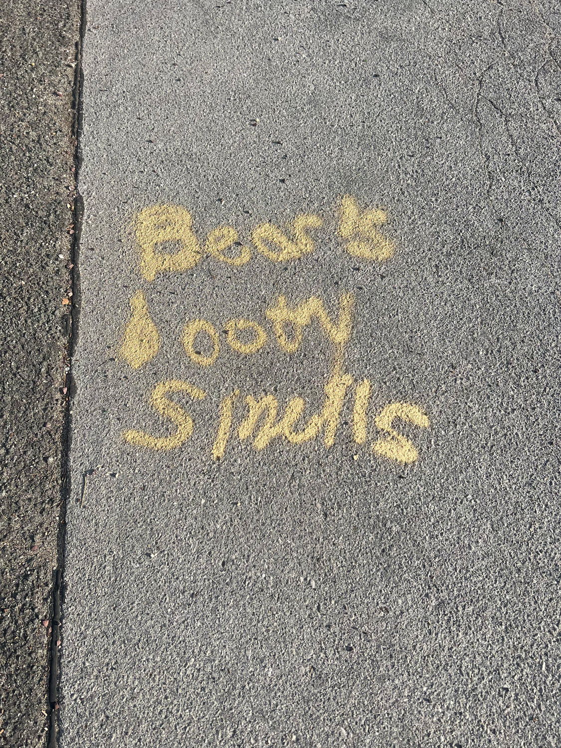 The least offensive derogatory graffiti found outside a Derby Avenue home in Woodmere on Aug. 15.
