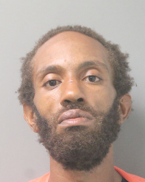34-year-old Julian Bassie allegedly exposed himself in front of three teens in West Hempstead on August 19.