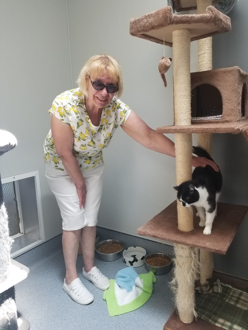 Natalia Homcharenko volunteers at Cove Animal Shelter, where she cares for the cats.