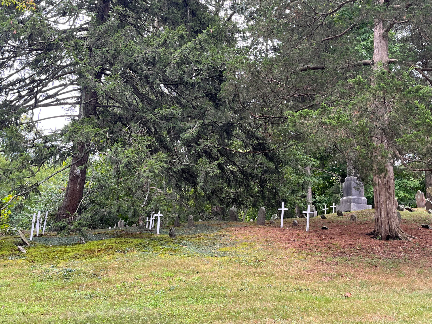 The white crosses scattered around the cemetery mark the likely locations of graves of indentured servants and slaves who served the Youngs family.