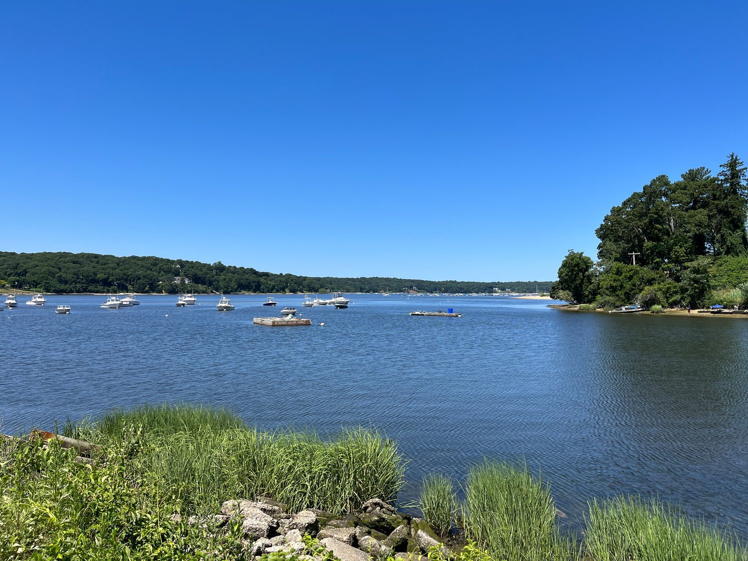 Local waterways, like Cold Spring Harbor, can be susceptible to outbreaks of harmful algal blooms — more commonly known as ‘red tides’ — during the summer months.