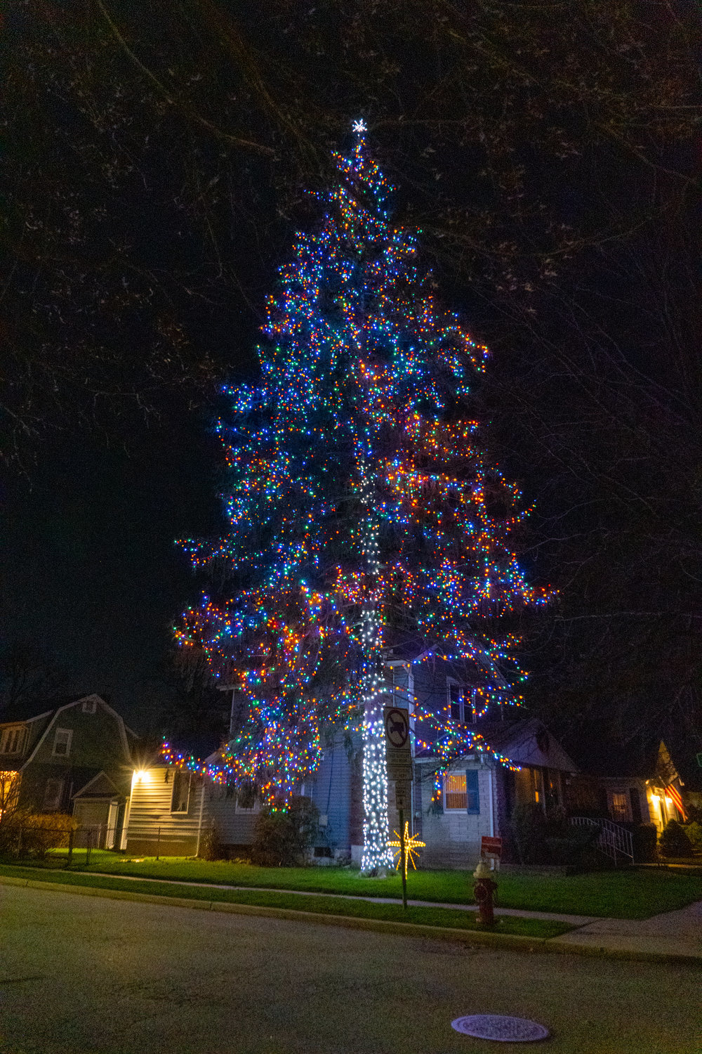 Blazdell’s 85-foot tree, decorated for the holidays, in previous years