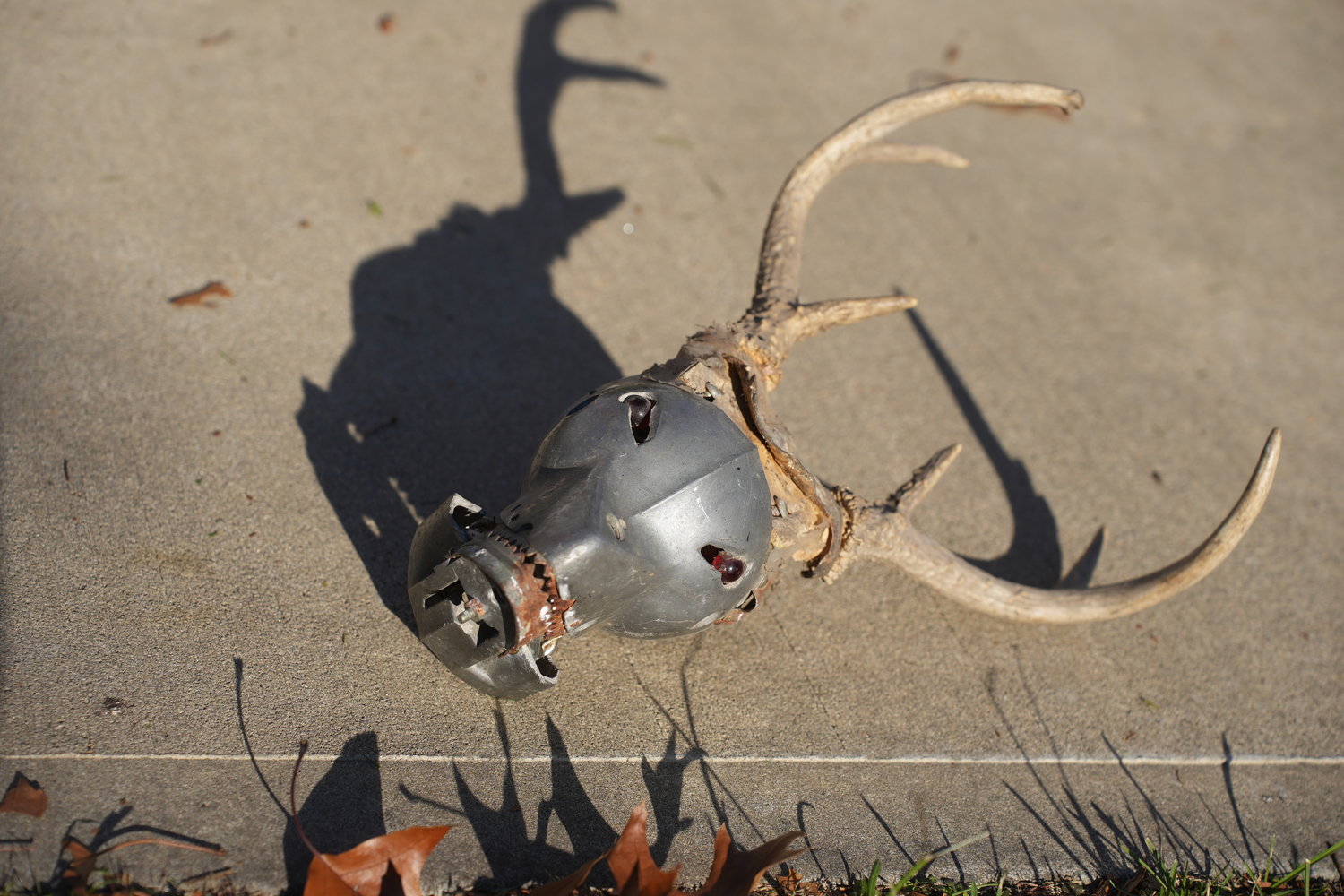 Curt Gray used to work with metal more often, like this metal head with real deer antlers, but eventually he switched to using plastic and stuff he found in junkyards.