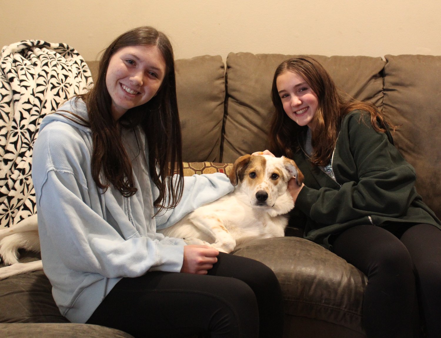 Paws for a Cause founders Sydney Dolger and Riley Rugolo sit with Dolger’s dog Rari, in middle, who helped inspire giving back to Posh Pets animal shelter in Long Beach.