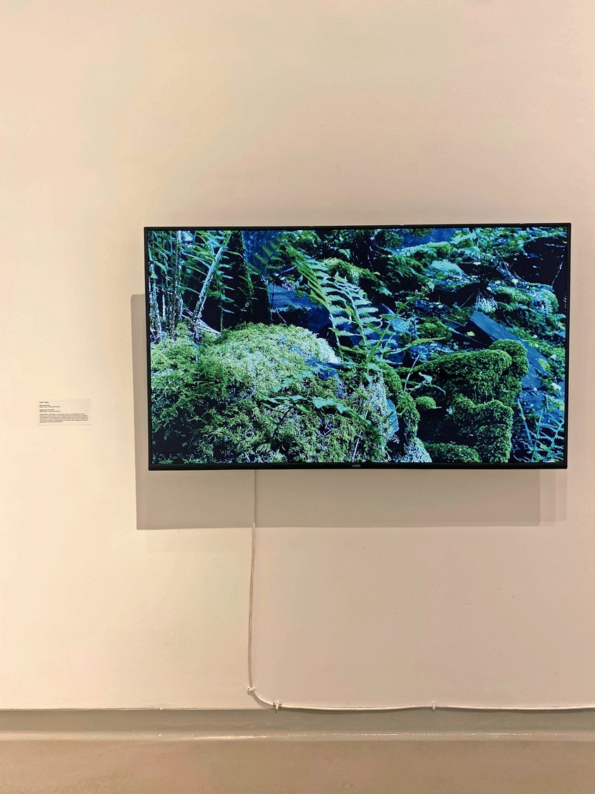 A television screen displaying digital artwork.