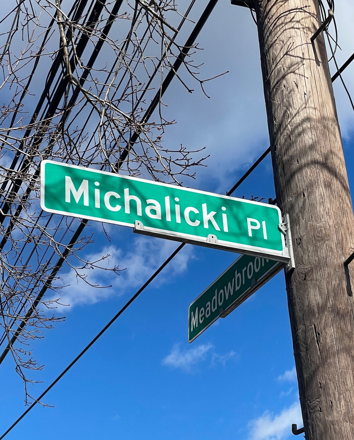 Michalicki Place, in North Merrick, is just one of the streets where permeable pavements and rain gardens were installed to help reduce storm damage.