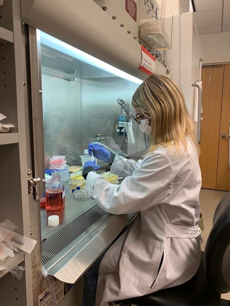 Evalina Lentini at work during her internship with Memorial Sloan Kettering’s Human Oncology and Pathogenesis program.