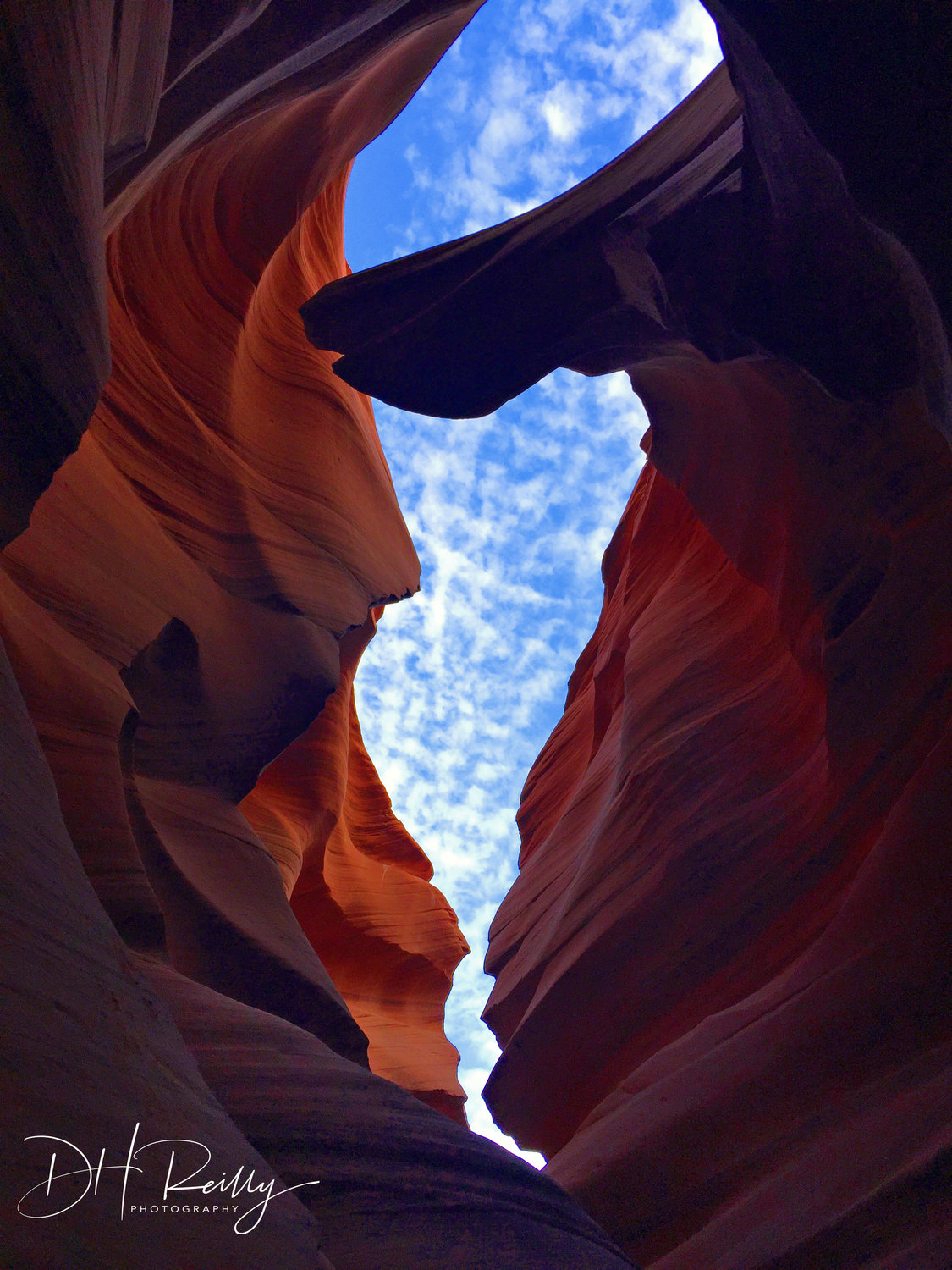 Reilly’s photograph, "Antelope Canyon" was awarded First Place at the Sky's The Limit juried photography show at the Long Island Photo Gallery in Islip.