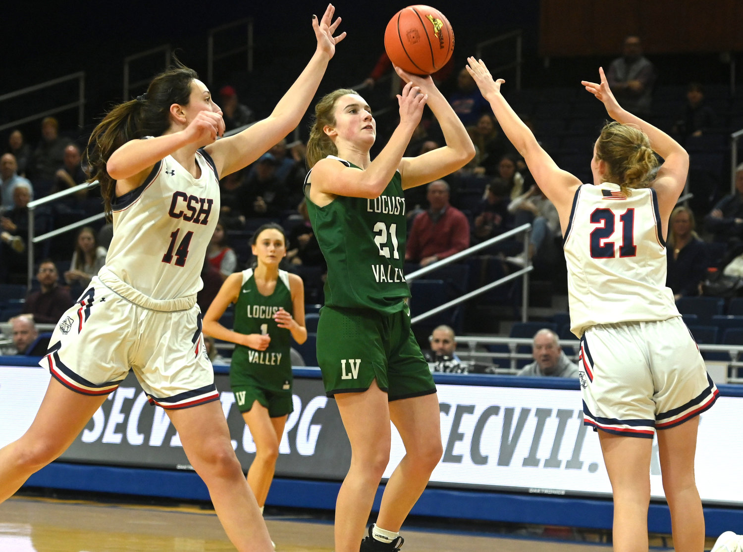 Locust Valley's Payton Tini starred in the Nassau Class B final March 1 with 33 points to lead the Falcons' 41-31 win over Cold Spring Harbor.
