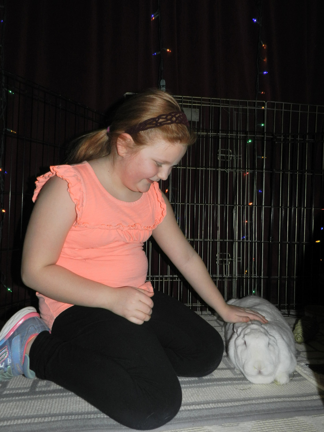 Children can pet ‘ambassador bunnies’ at the Long Island Rabbit Rescue Group fundraiser, as Sea Cliff resident Grace Capone did in 2018.
