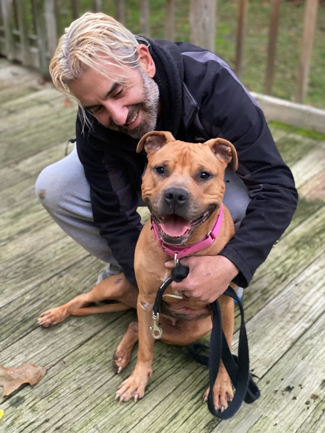 Athena with Tuncay Adem, a Canine Counsel Dog Training behaviorist. The pit bull-terrier mix, which was abandoned in Freeport, has received training, and love, from Adem, which has helped turn her into a happy and healthy candidate for adoption.
