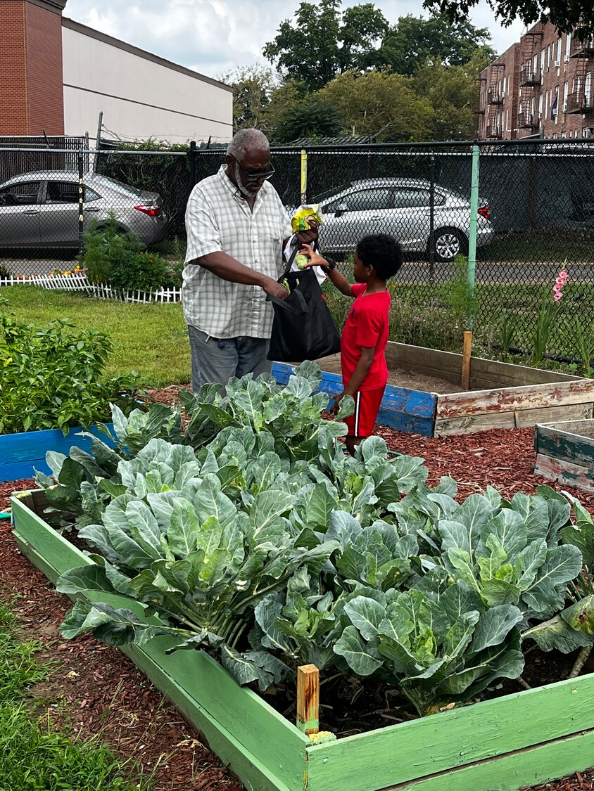 Hempstead resident Bradley Hinton with his family member, 7 year-old Paxton Eley, picking fresh vegetables from the garden to take home and eat.