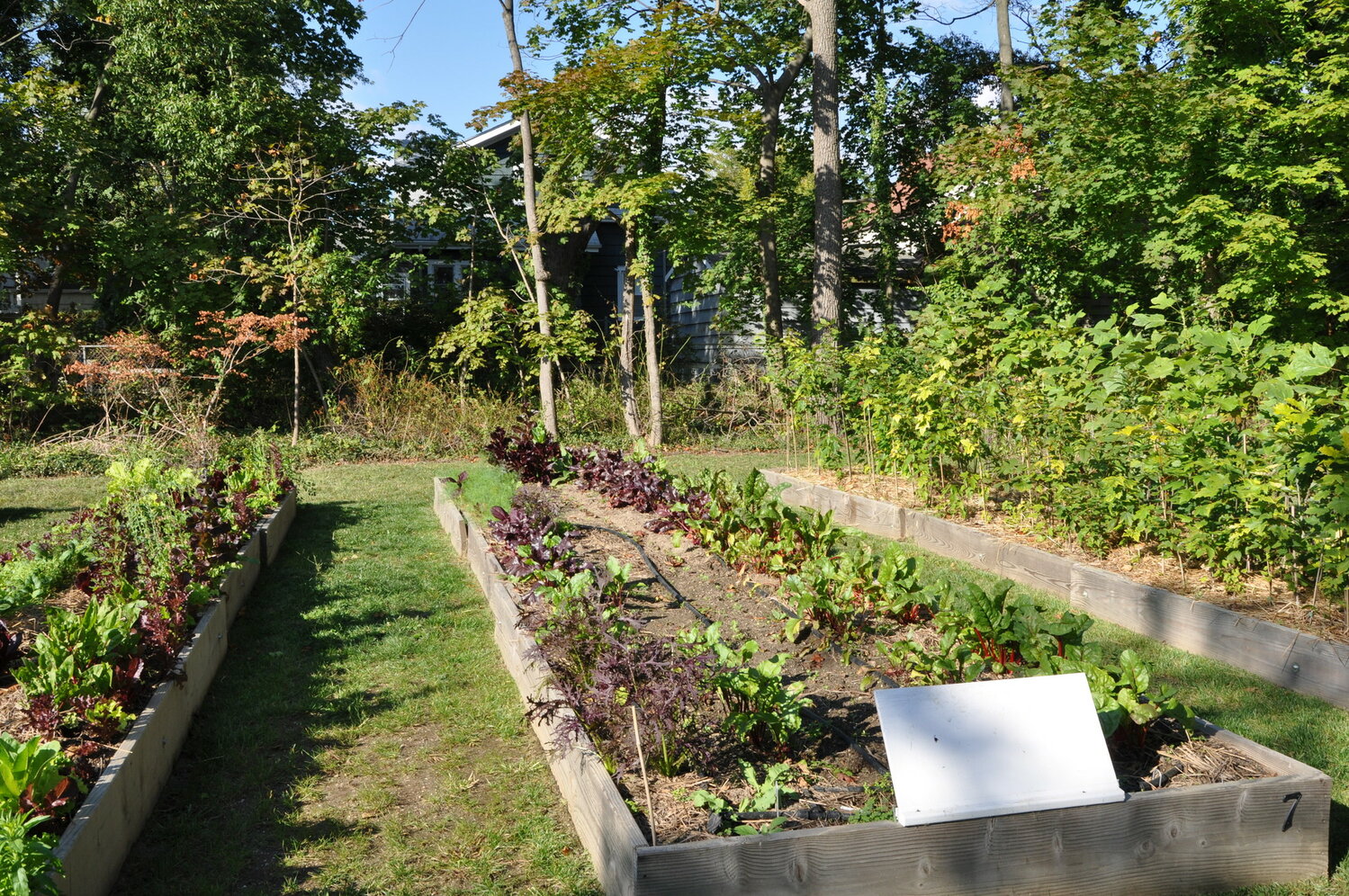 The Village of Valley Stream is transforming an overlooked parcel of land into its first community garden. Above, a community garden in the South Shore.