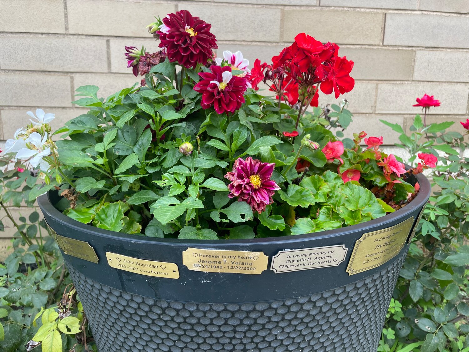 The group has a flowerpot outside the Lynbrook Library with plaques honoring their loved ones.
