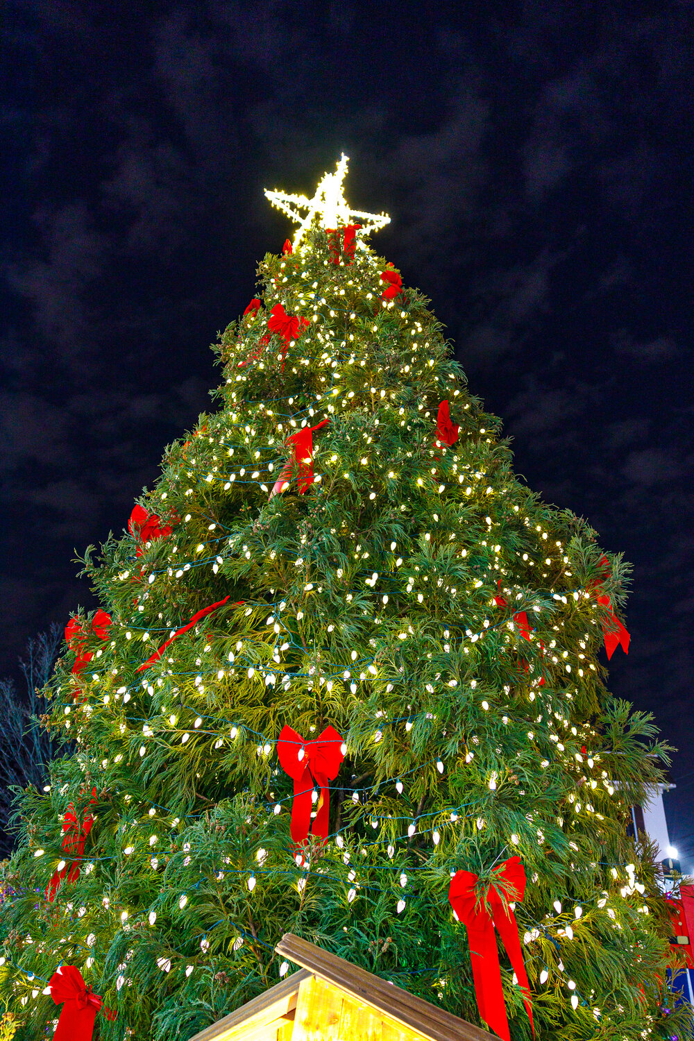 A Christmas tree lit up the heart of Lynbrook in the village’s annual holiday celebration.