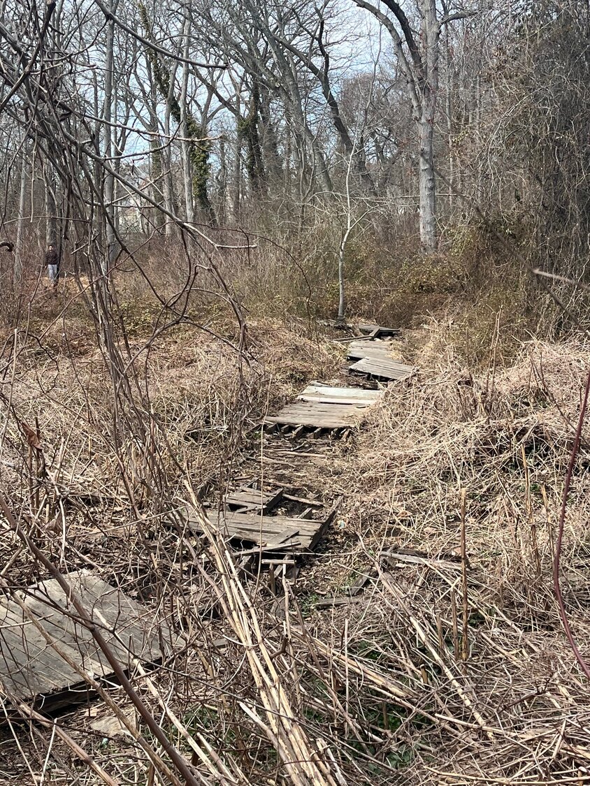 Nassau Rotaract to begin Brookside Preserve renovations - Herald Community Newspapers