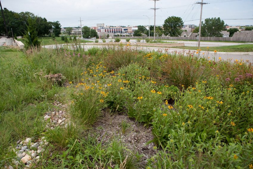 Learn more about rain gardens at this year's Ozark Empire Fair.   Contributed Photo