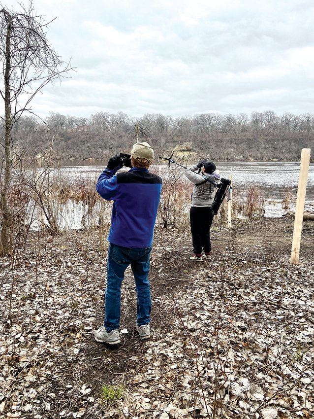 Urban Bird Collective will host bird walks from April to June through Longfellow's parks, teaching participants about native bird species. (Photo submitted)