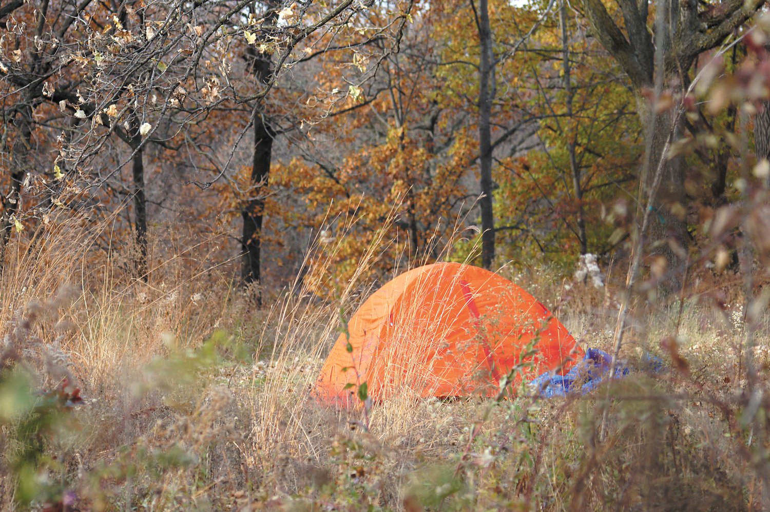 Tents are set up at various places in Minneapolis, including near a wooded park. Homelessness is prevalent throughout the state. According to Minnesota Homeless Coalition (MHC) Executive Director Rhonda Otteson, 80 out of 87 counties lack enough shelter beds. Half of the people experiencing homelessness are youth up to age 24. People of Color are 10 times more likely than their White counterparts to be homeless. (Photos by Terry Faust)