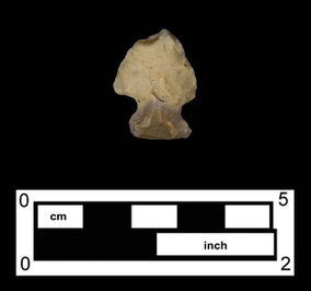 Stone tool found in 2020