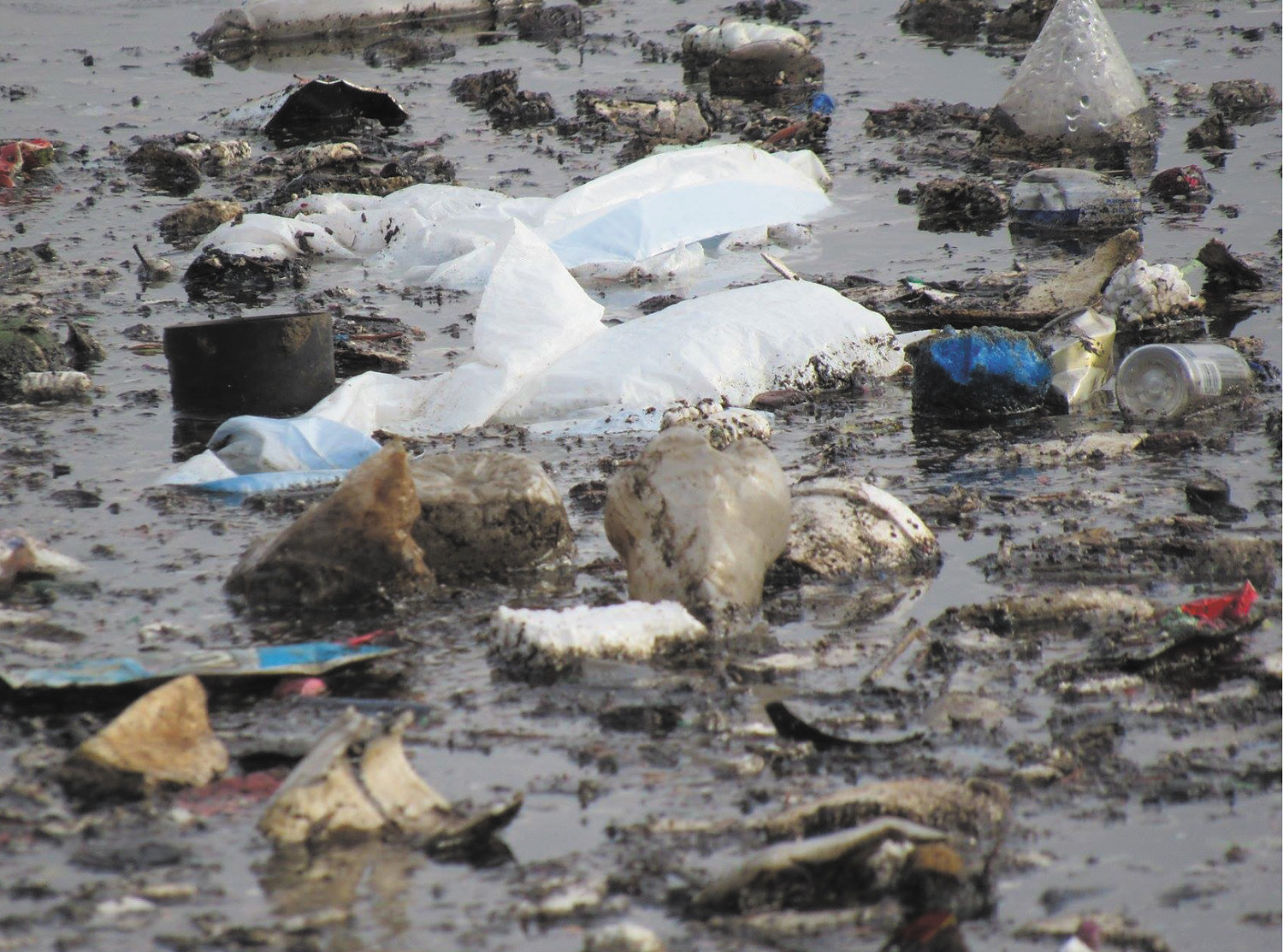 Trash in Lake Hiawatha includes various types of plastic and styrofoam. (Photo submitted by Friends of Lake Hiawatha)