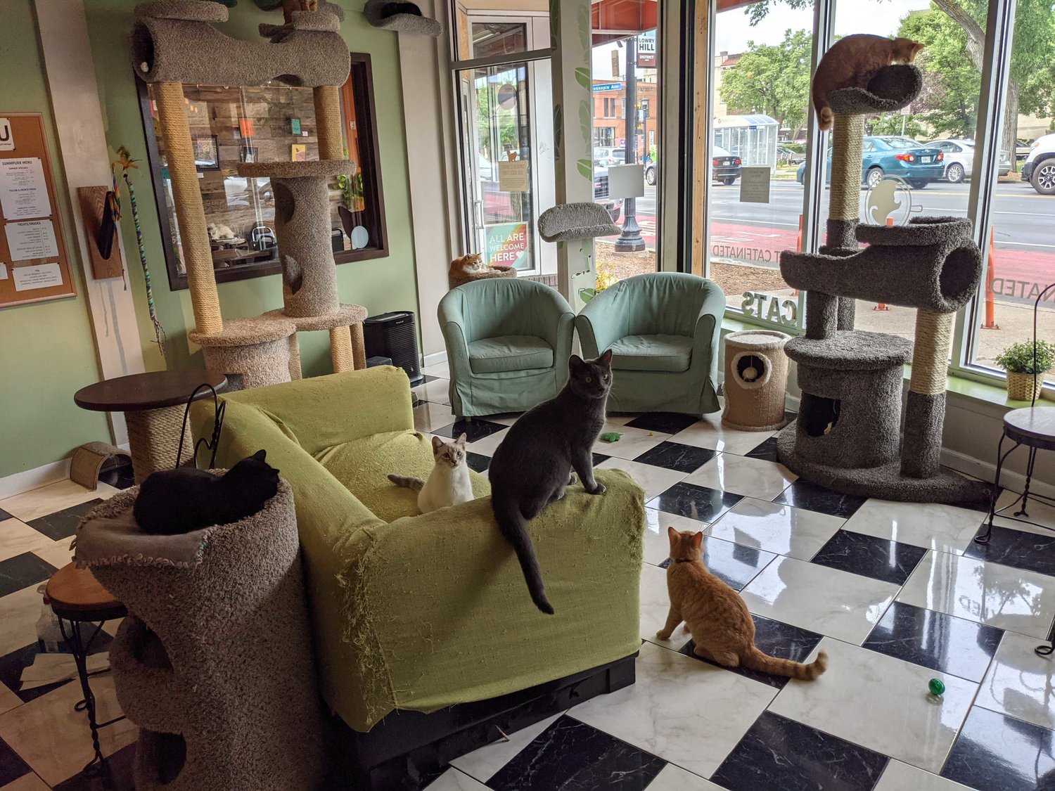 “The loss of parking both across the street, going south on Hennepin and in front of our business going north on Hennepin will be the end of our business on Hennepin," remarked Jessica Burge of The Cafe Meow (2323 Hennepin Ave. S.).