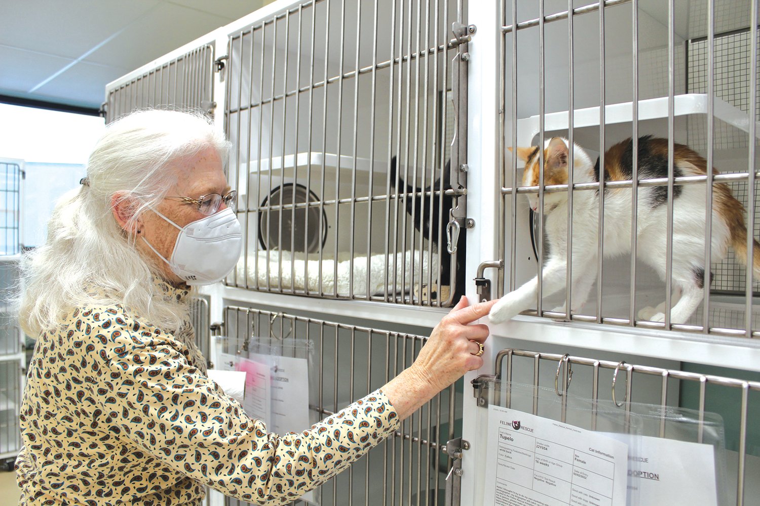 Volunteer Gail Frethem plays with Tupelo at the shelter. (Photo by Penny Fuller)