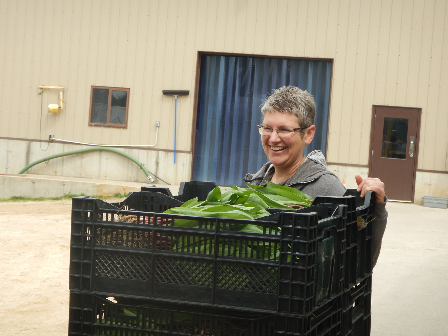 “While CSA stands for ‘Community Supported Agriculture,’ it could also stand for ‘Community Sustained Agriculture,’” observed Andrea Yoder of Harmony Valley Farm. She holds a bucket of ramps.
