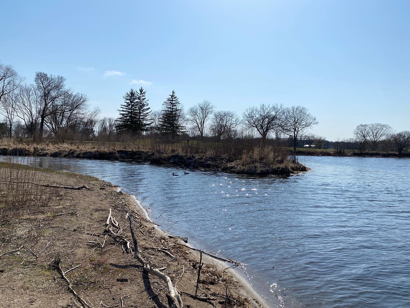 The delta habitat is the heart of the Lake Hiawatha’s biodiversity, and has been the focus of countless hours of community restoration work. Friends of Lake Hiawatha have worked for years with Dakota friends to restore foods and medicines obliterated from this land in 1929.