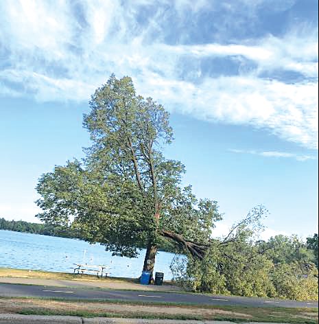 During the storm on Aug. 3, the large Linden tree that shaded the small Nokomis beach was damaged. "The tree  was huge and beautiful and had shaded the little beach on the north east side of Lake Nokonis. Many people swim there and will miss this tree," said Longfellow resident Christie Dauphin.