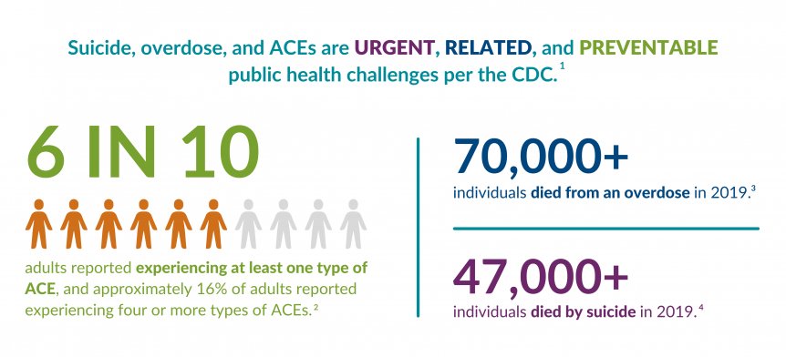 ACES LINKED TO SUICIDE -
Adults who had experienced adverse childhood experiences (ACEs) are more likely to have attempted suicide in their lifetime than those who had not experienced ACEs. Researchers used data from the 2012 to 2013 National Epidemiologic Survey on Alcohol and Related Conditions (NESARC) to match people who had attempted suicide with those who had not, based on the presence or absence of nine mental and substance use disorders that are associated with suicide risk. This allowed the researchers to estimate the role that ACEs played in the risk of suicide attempts independent of mental and substance use disorders.

The ACEs included in the study were (1) psychological abuse; (2) physical abuse; (3) sexual abuse; (4) emotional neglect; (5) physical neglect; (6) witnessing violence against a mother or other adult female; (7) substance misuse by a parent or other household member; (8) mental illness, suicide attempt, or suicide death of a parent or other household member; (9) incarceration of a parent or other household member; and (10) parents’ separation or divorce.