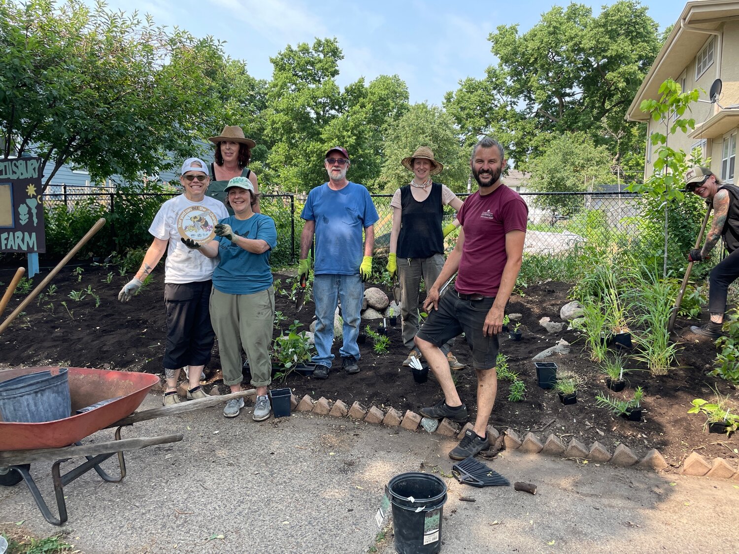 Volunteers plant wild geranium, purple prairie clover, wild bergamot, giant hyssop and culver’s root in gardens down the pollinator pathway so that the rusty patched bumblebees can find the same foods to eat at each location.