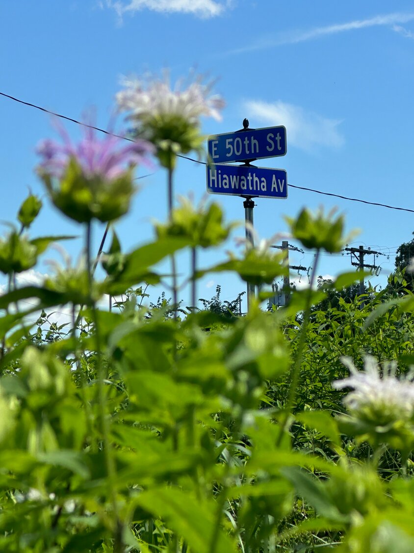 The Gateway Garden in the shape of a butterfly's wing sits at E. 50th St. and Hiawatha Ave. in the Monarch Mile. (Photo submitted)