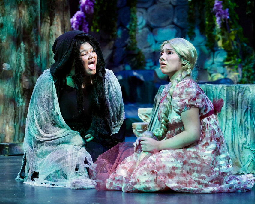 Into the Woods follows a cast of fairy tale characters through situations that will test an audience’s understanding of the stories they know and love.