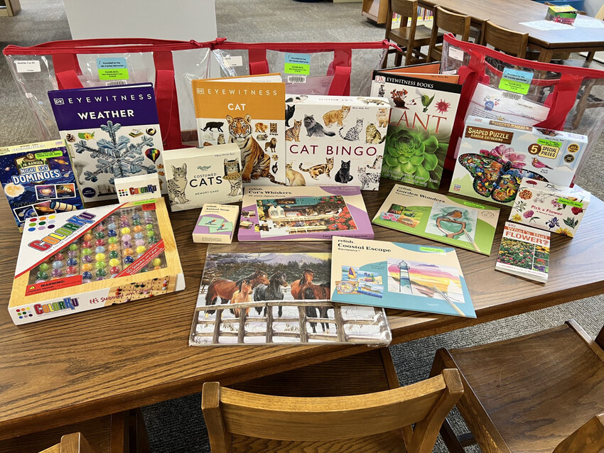 Similar to the DFCC's comfort bags, the Peshtigo Public Library offers themed dementia kits. These kits can be checked out with a library card and shipped between any libraries in the Marinette County Consolidated Public Library system.