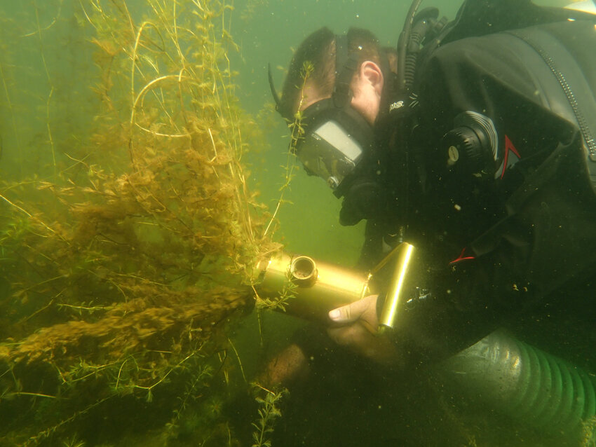 To harvest Eurasian watermilfoil , Marinette County Water Resource Specialist Chuck Druckrey feeds the plants into a Diver Assisted Suction Harvester. The hose transports the plants from the lakebed to the surface.