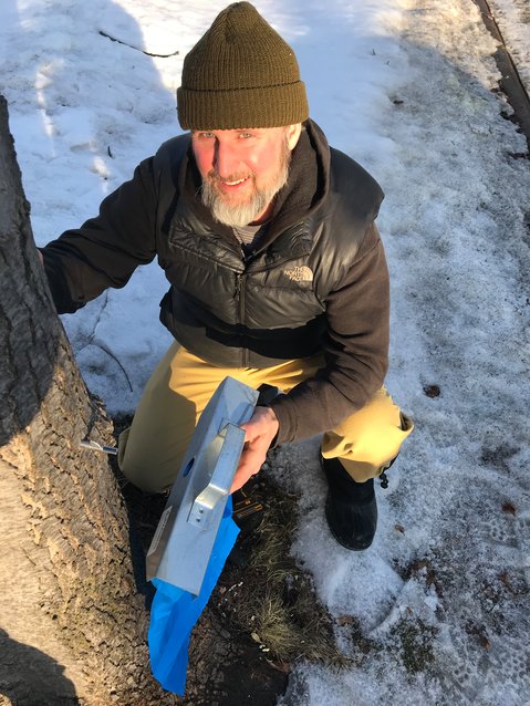 Tapping: &lsquo;tis the season! Frogtown resident and environmentalist Chris Stevens taps a maple tree. (Photo courtesy of Frogtown Green)