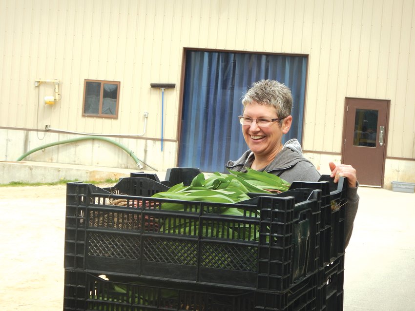 Andrea Yoder carrying a bucket of ramps at Harmony Valley.