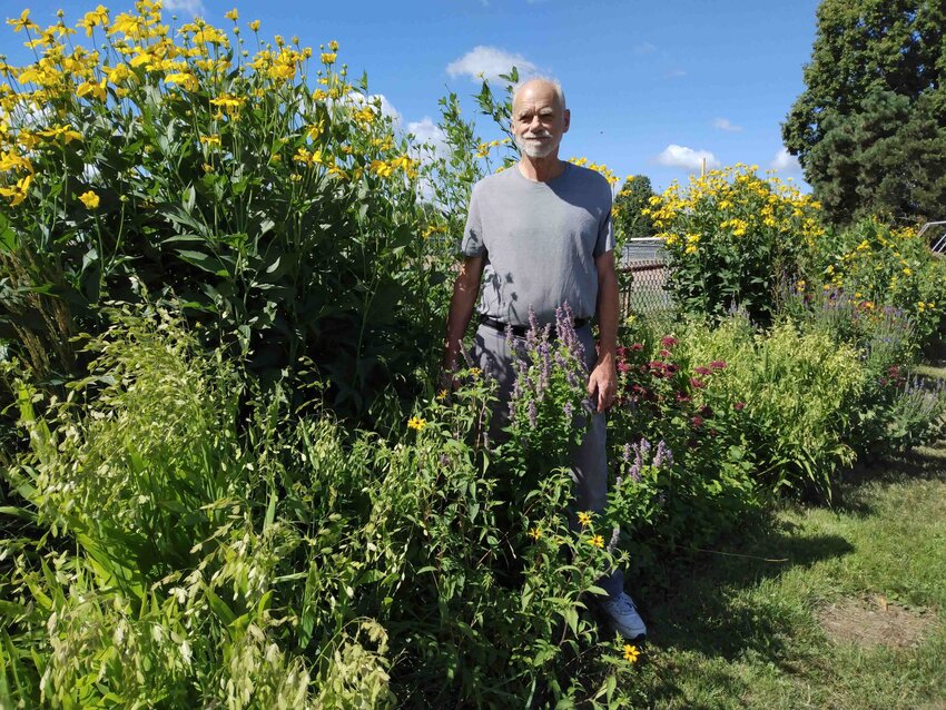 Local historian and wildflower enthusiast Paul Nelson stands near prairie coneflowers, also known as ratibida. (Photo submitted)