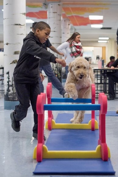 Kids learn patience, love and kindness through working and playing alongside dogs to boost self-esteem, emotional awareness, frustration tolerance and treating other people with respect. (Photo courtesy of Canine Inspired Change)